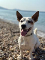 Μαρια Γιουρου