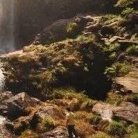 Pablo Manotas Gómez Pedreira