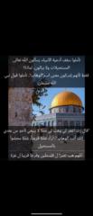 سجى محمود