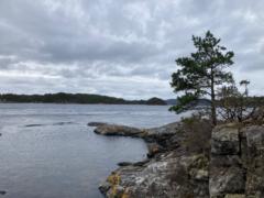 Lena Onstad