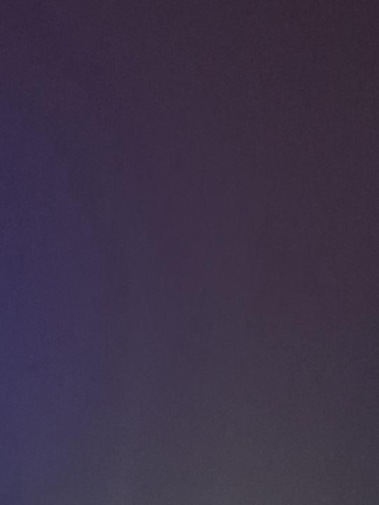 木 瓜茶