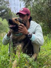 Alejandro Toro Ibáñez