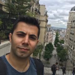 Ali Roohparvar