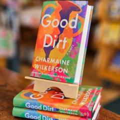 Viktoriia CharmMediaX