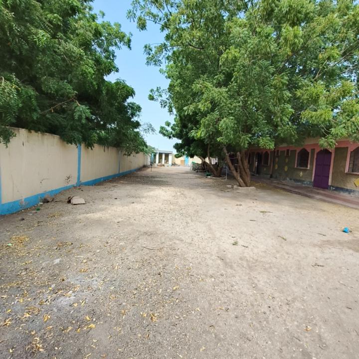 Hussein Mohamed