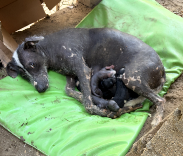 It's a new weeeeekkkkk