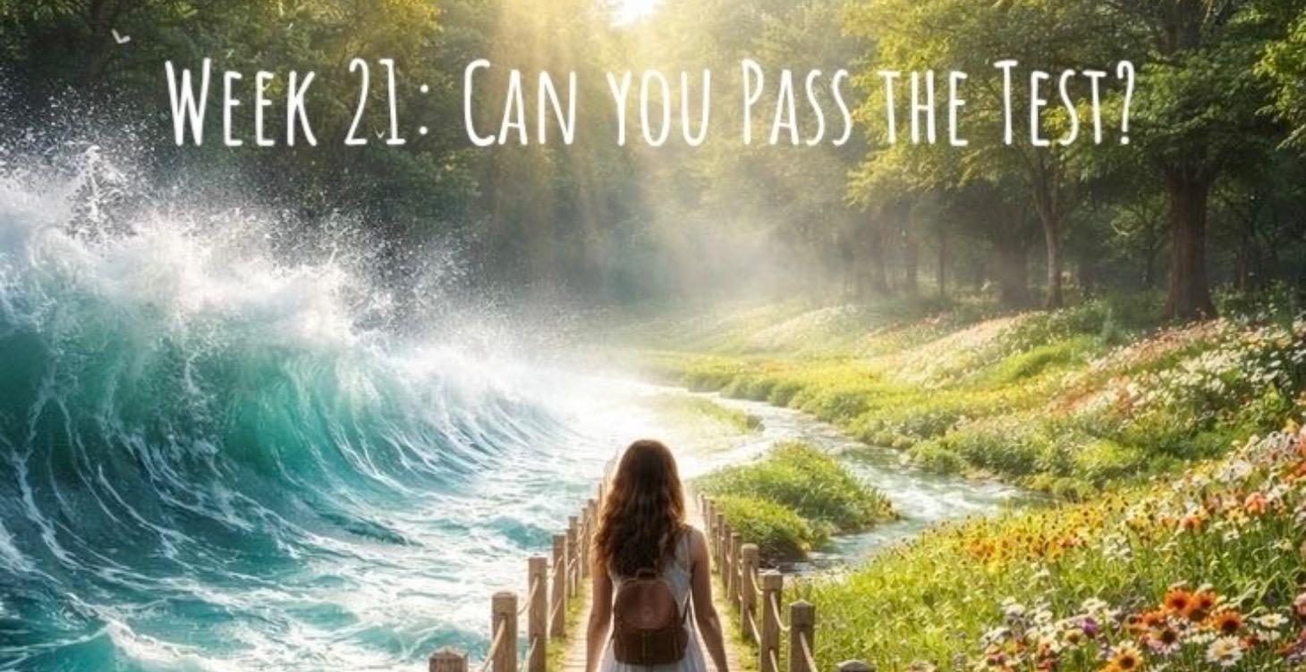 Week 21
