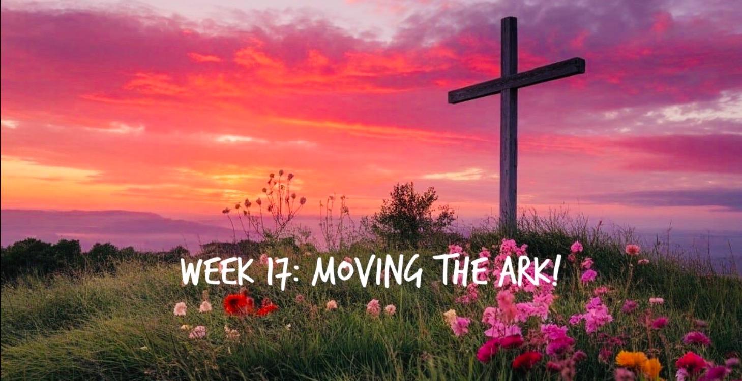 Week 17