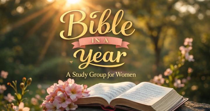 The Bible In a Year