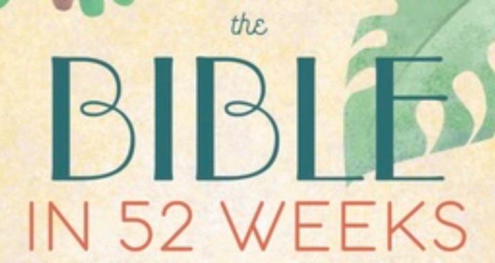 The Bible In a Year