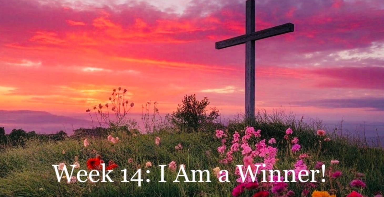 Week 14