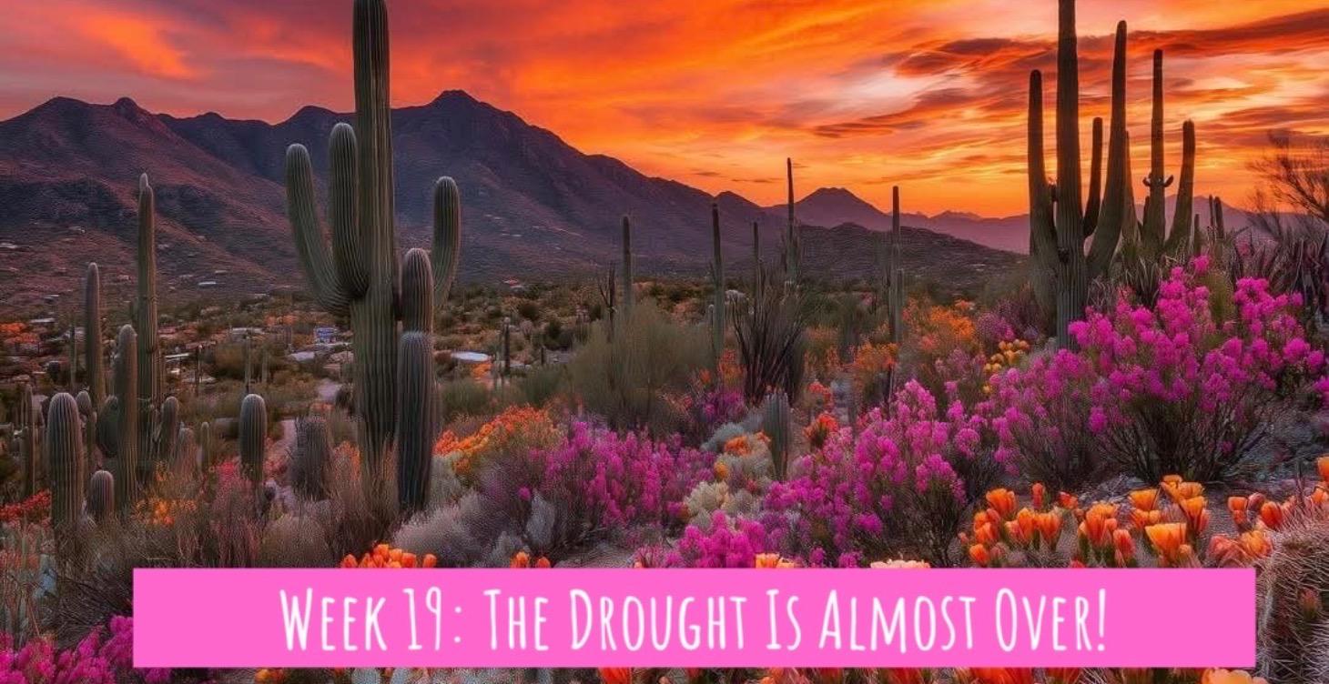 Week 19