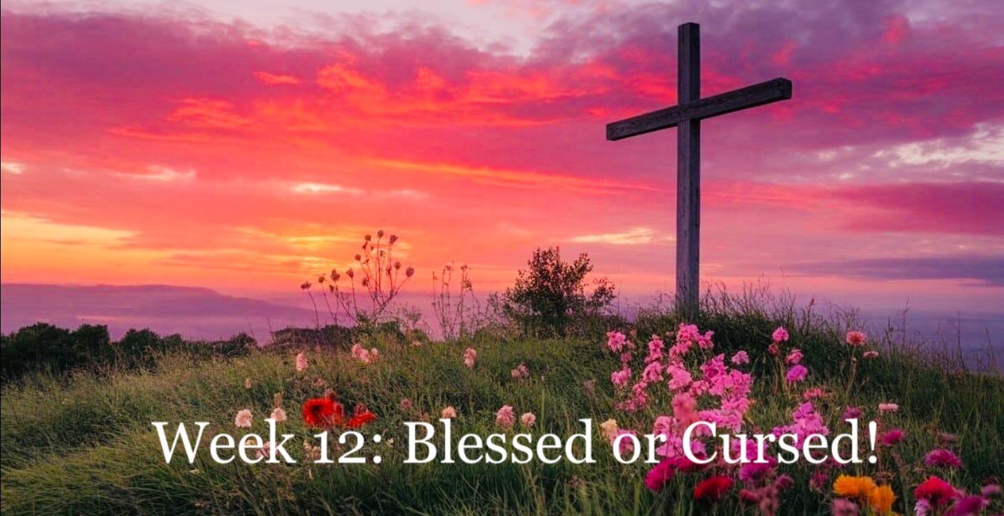 Week 12