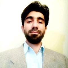 Rameez Tariq
