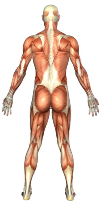 No se puede cuidar bien algo que no conocemos