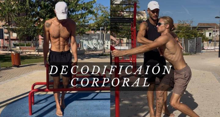 🦇 Sala Fisiologics