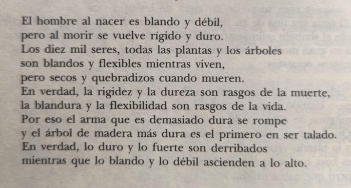 "Blandura y flexibilidad como rasgos de VIDA..." 💗