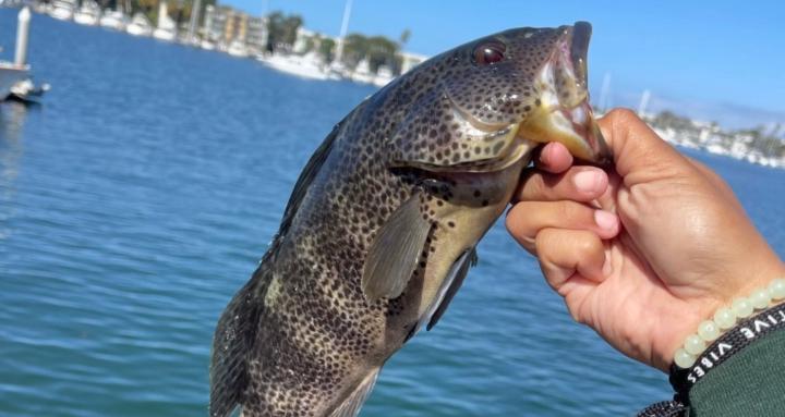 West Coast Fishing Society