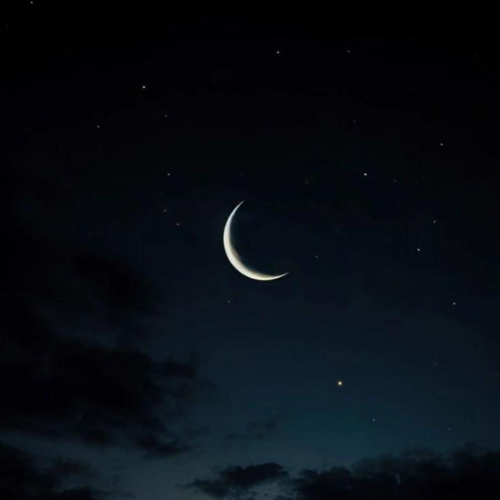 Syeda Tooba Ali Naqvi