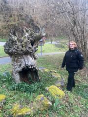 .Emma Blanco Anguera