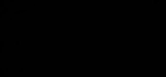 Eris S