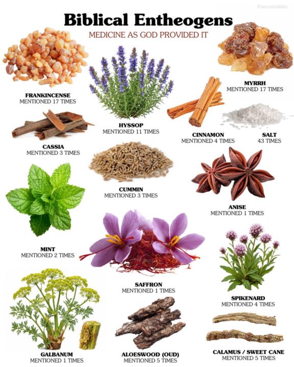 Biblical Plants and Spices