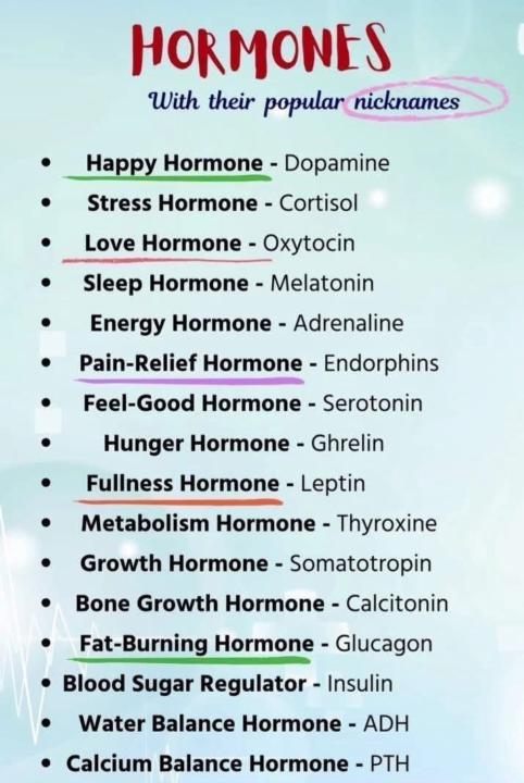 Hormones: it’s SO much more than Estrogen & Testosterone 🧠✨