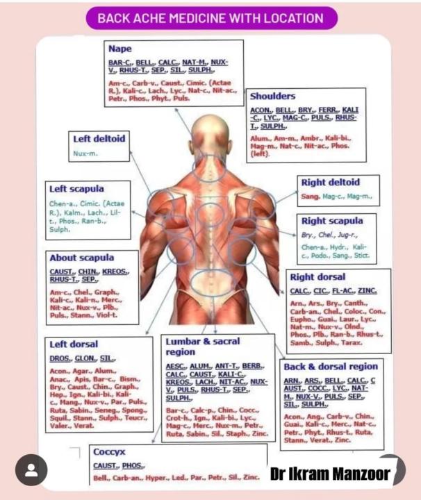 Homeopathy and Back Aches