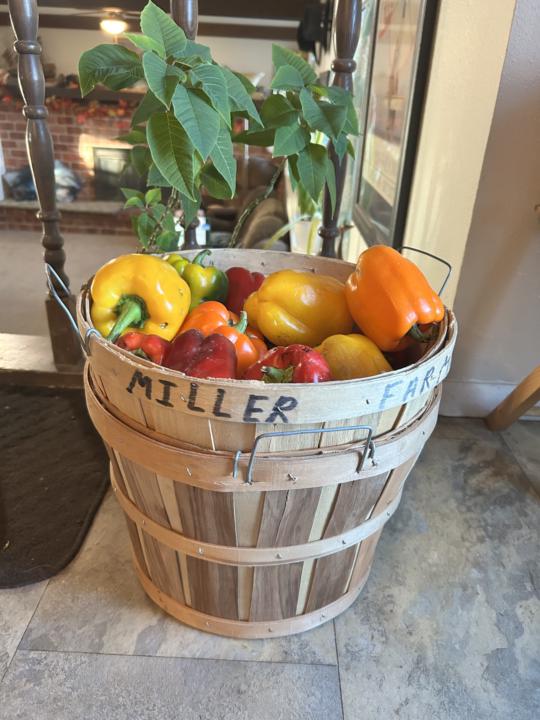 What to do with a bushel of bell peppers?  