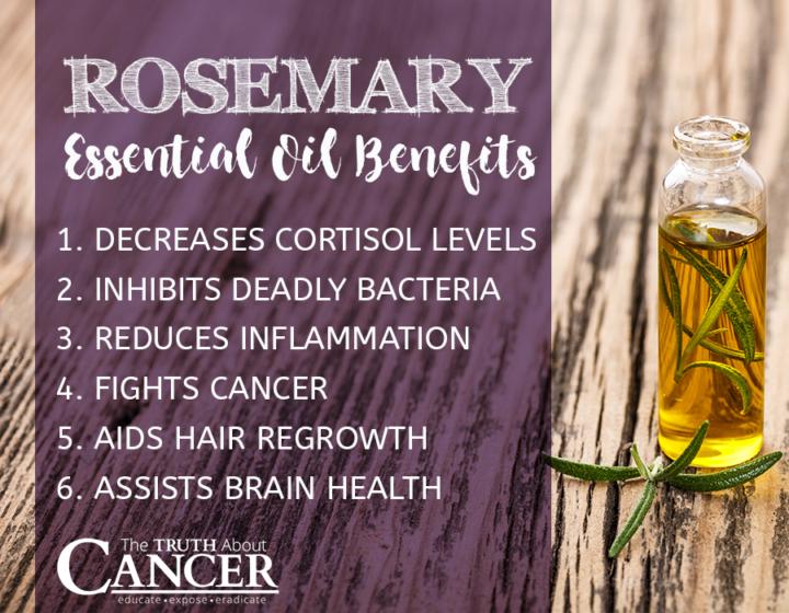 🌿 Benefits of Rosemary