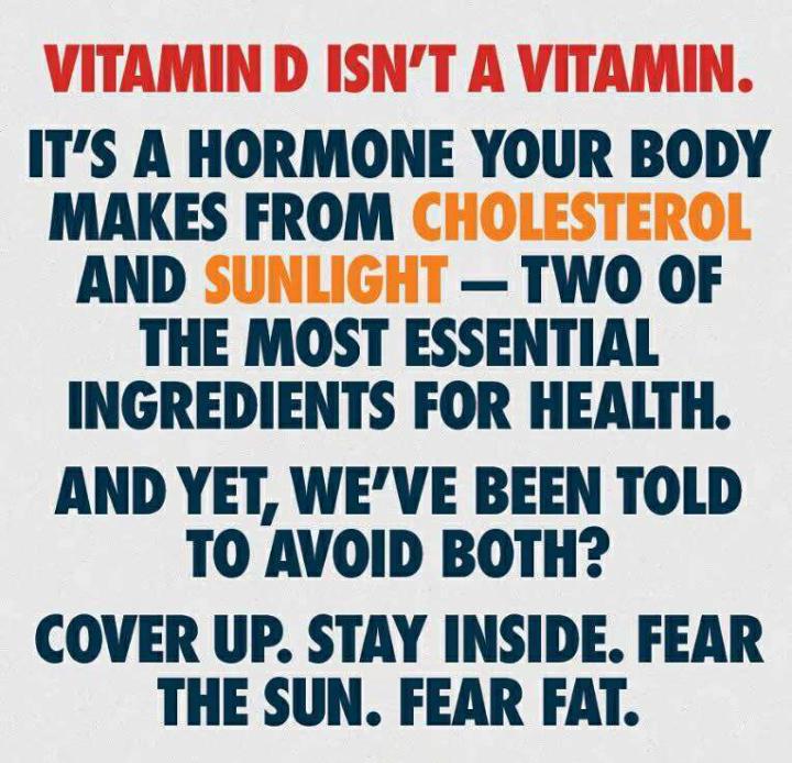 ☀️ Why Vitamin D & Sunlight Are Essential