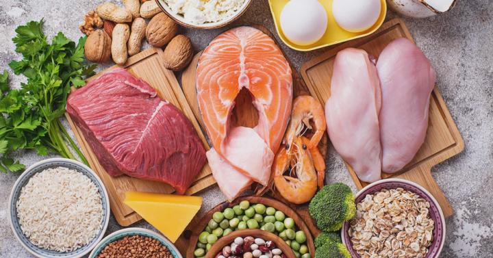 🥩 Why Protein Matters