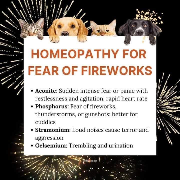 Fear of Fireworks in Animals or People Too!  