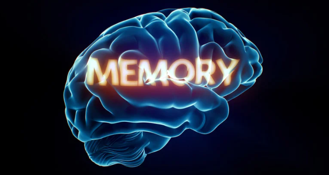 🧠✨ MEMORY, FOCUS & NATURAL SUPPORT ✨🧠