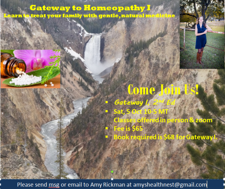 Homeopathy Class on Sat Zoom or in Person