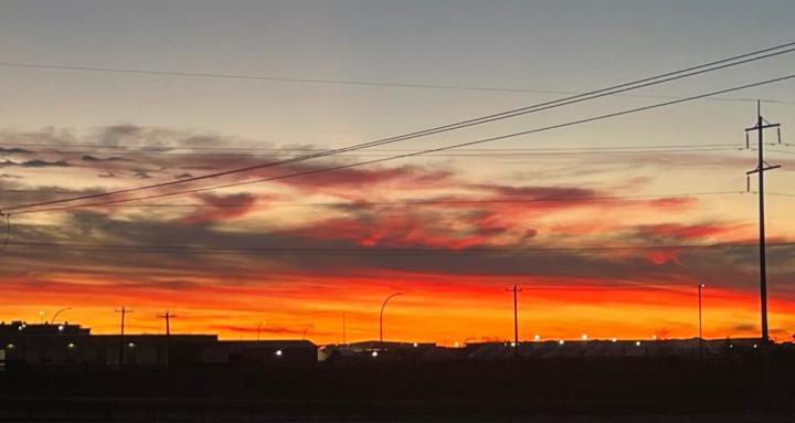 Art of the Process with Cole