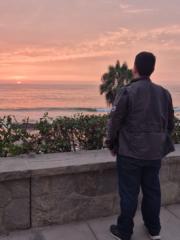 Jose Camilo Alvarado Padrón