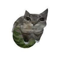 Amciek Heudbdixybd
