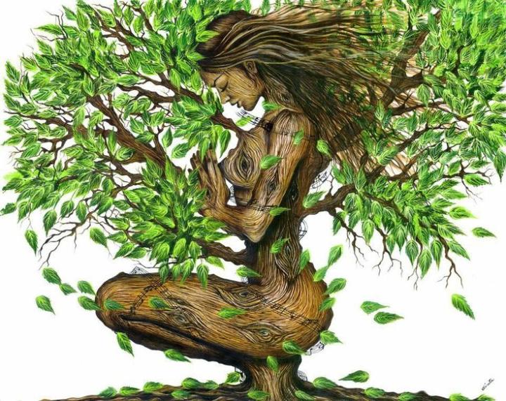 Heather Piccicuto