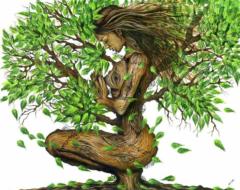 Heather Piccicuto