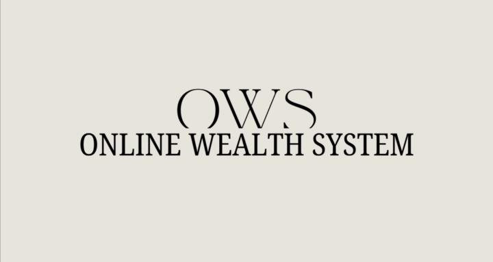 ONLINE WEALTH SYSTEM
