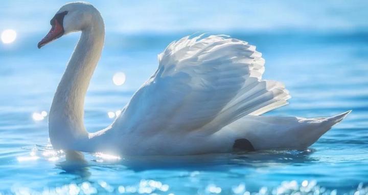 Spiritual Ascension‼️