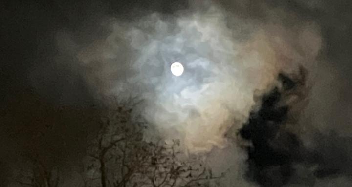 Wilderness Explorer Poems