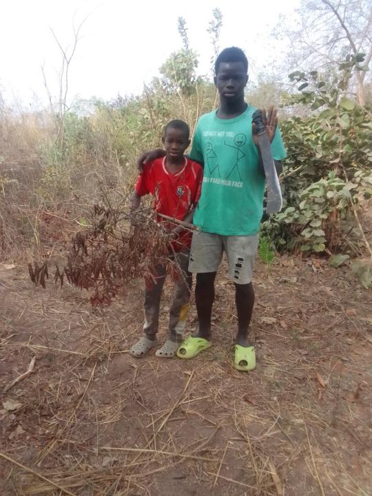 Hamidou Bah
