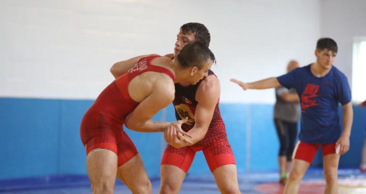 Wrestling Mystery
