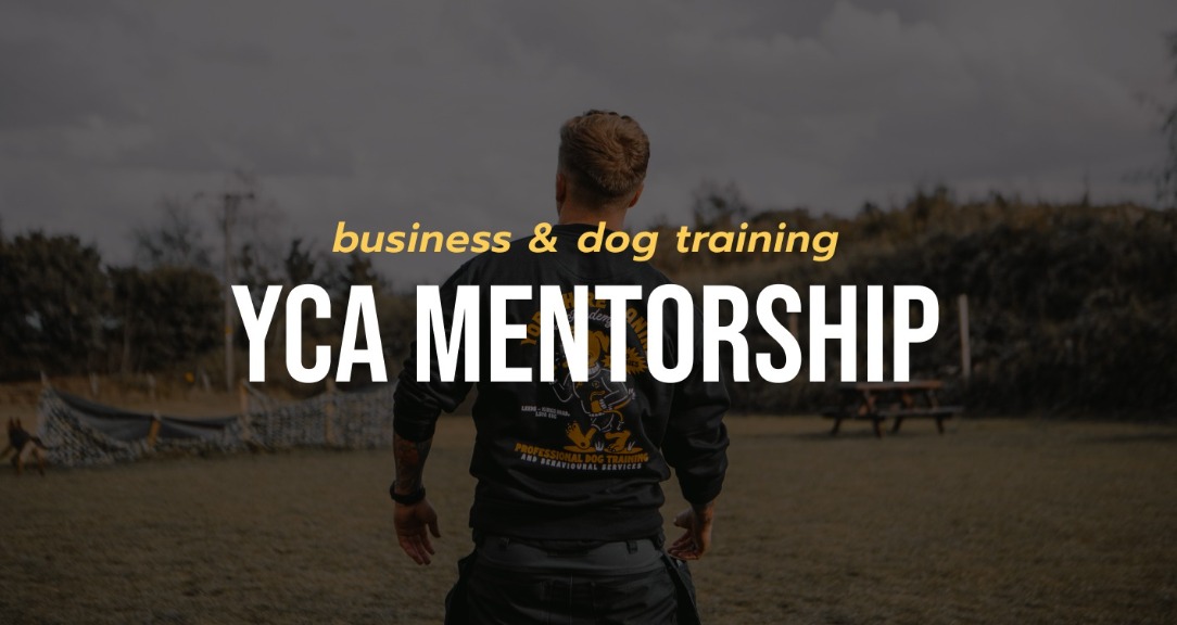 YCA Mentorship