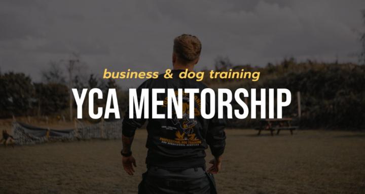 YCA Mentorship