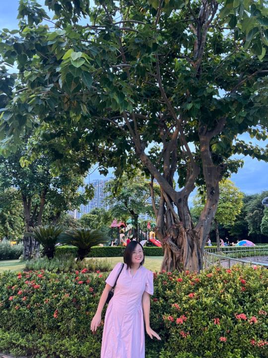 Phuong Anh Luu
