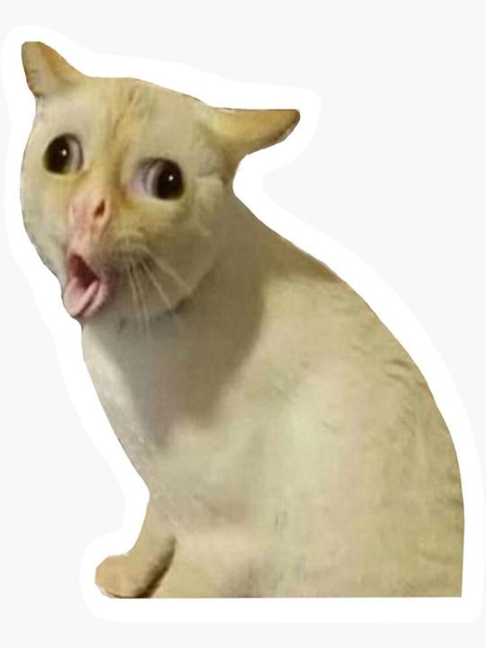 Cayma Cayma