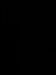 Juan Pintado guerrero